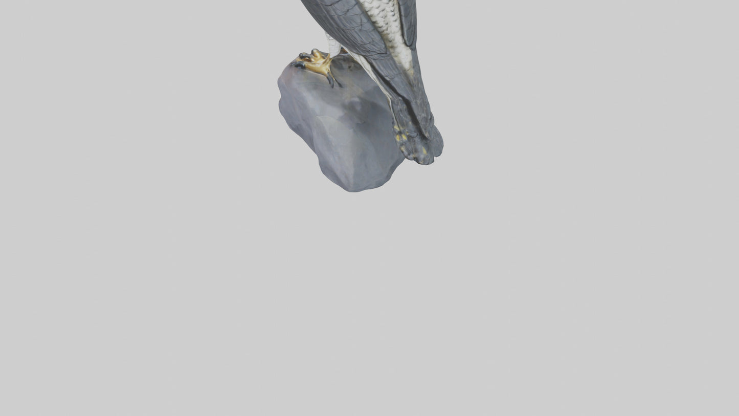 Peregrine Falcon statue model VR / AR / low-poly
