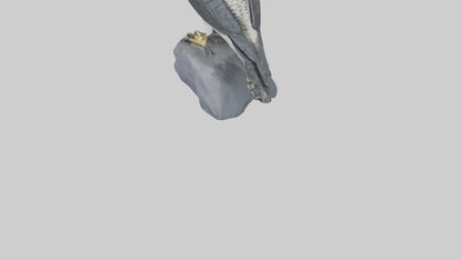 Peregrine Falcon statue model VR / AR / low-poly
