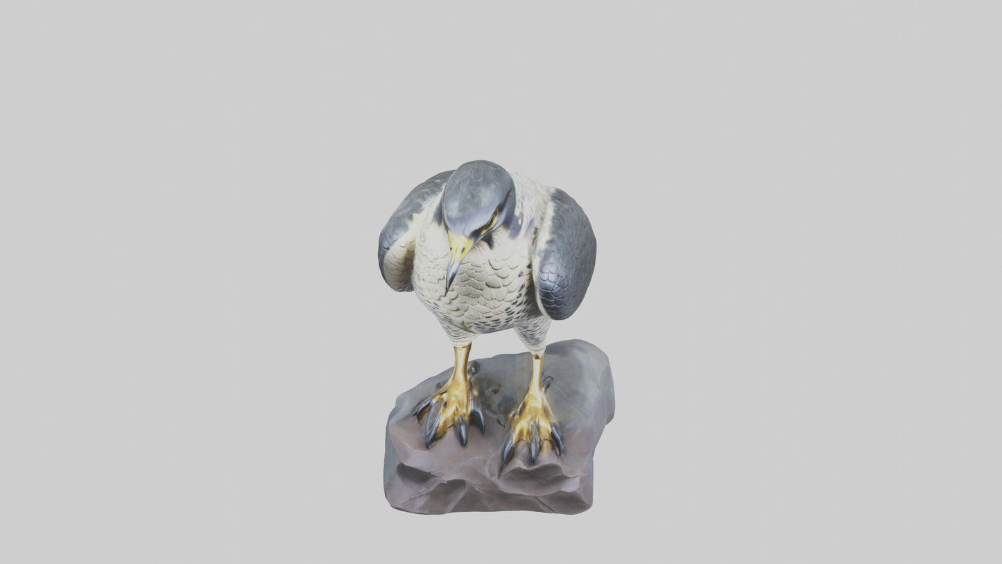 Peregrine Falcon statue model VR / AR / low-poly