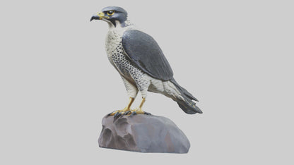 Peregrine Falcon statue model VR / AR / low-poly
