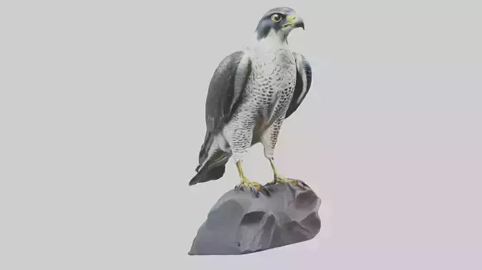 Peregrine Falcon statue model VR / AR / low-poly