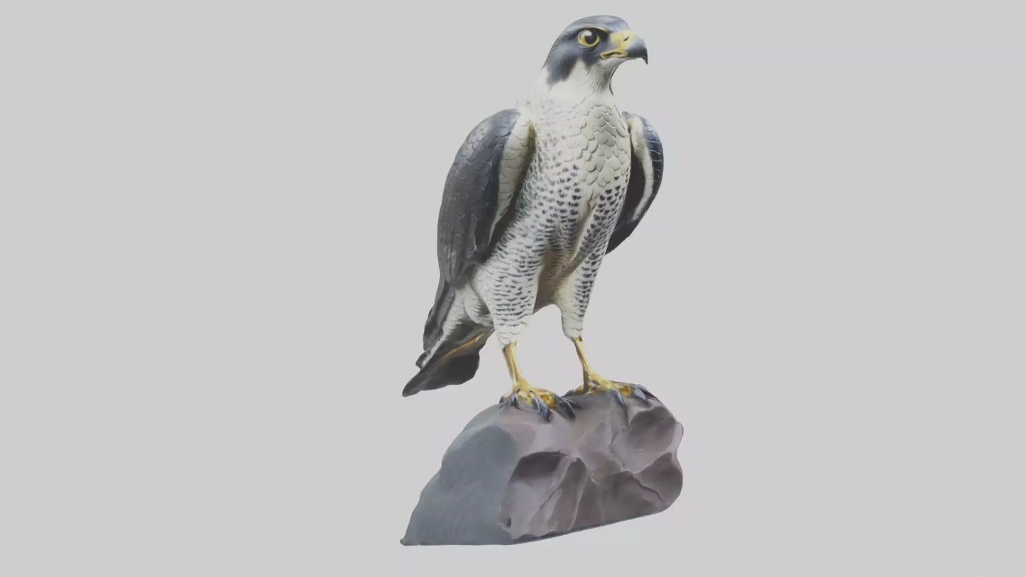 Peregrine Falcon statue model VR / AR / low-poly
