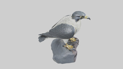 Peregrine Falcon statue model VR / AR / low-poly