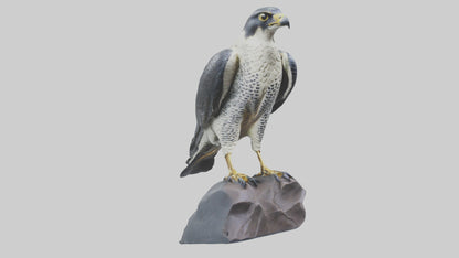 Peregrine Falcon statue model VR / AR / low-poly