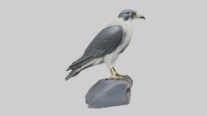 Peregrine Falcon statue model VR / AR / low-poly
