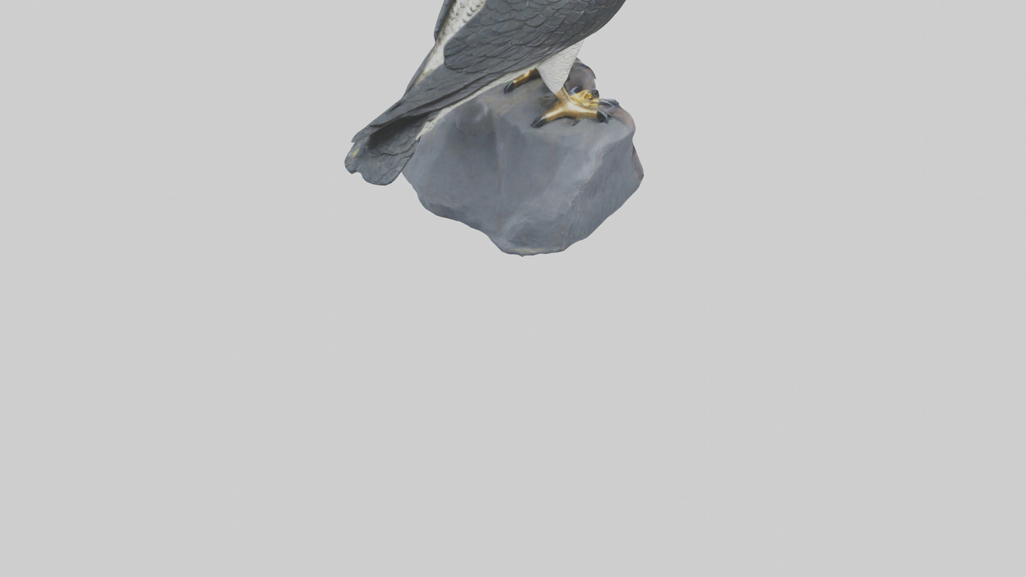 Peregrine Falcon statue model VR / AR / low-poly