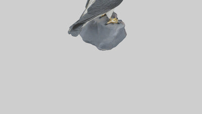 Peregrine Falcon statue model VR / AR / low-poly