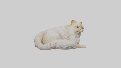 Persian Cat resting model VR / AR / low-poly