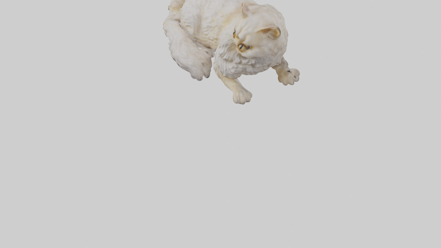 Persian Cat resting model VR / AR / low-poly