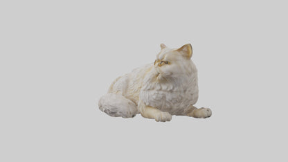 Persian Cat resting model VR / AR / low-poly