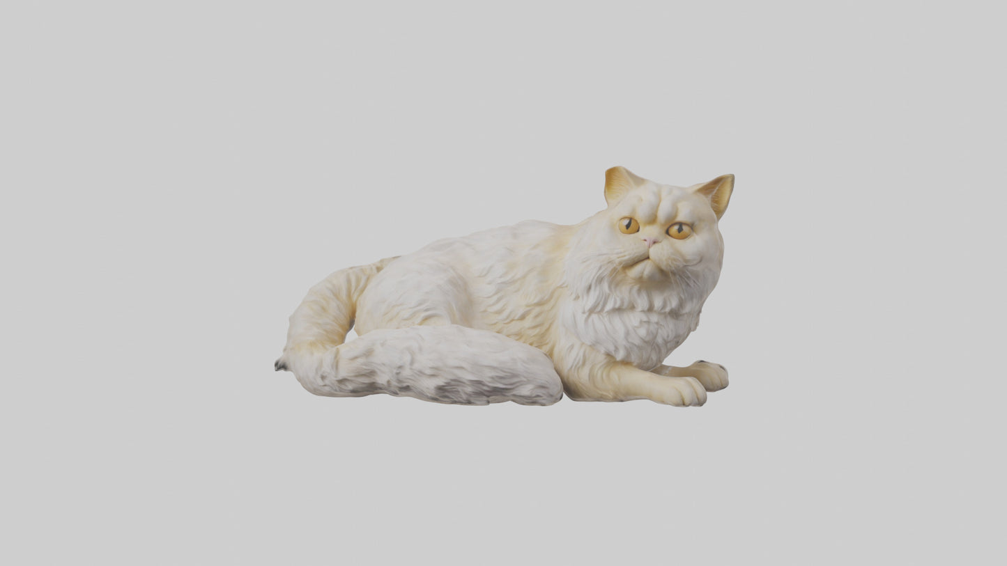 Persian Cat resting model VR / AR / low-poly
