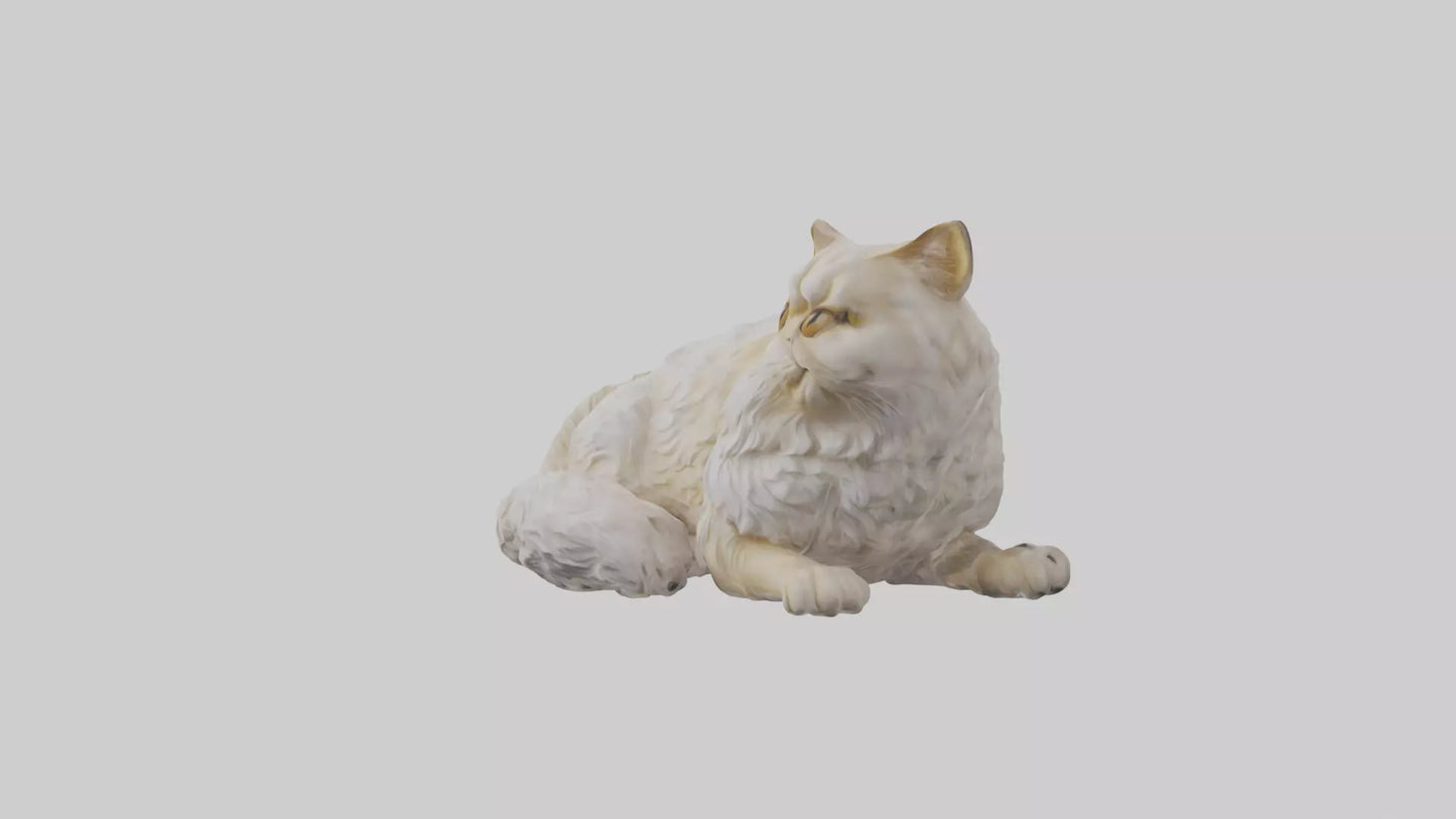 Persian Cat resting model VR / AR / low-poly