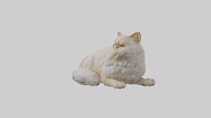 Persian Cat resting model VR / AR / low-poly
