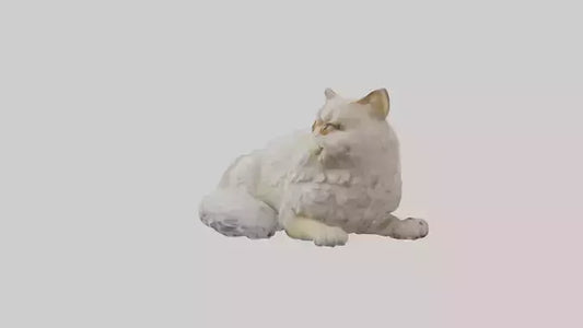 Persian Cat resting model VR / AR / low-poly