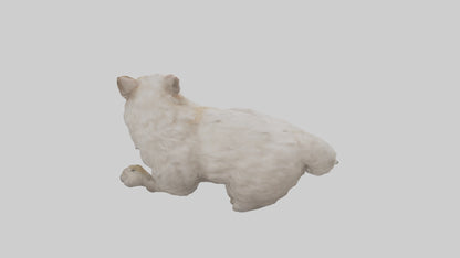 Persian Cat resting model VR / AR / low-poly