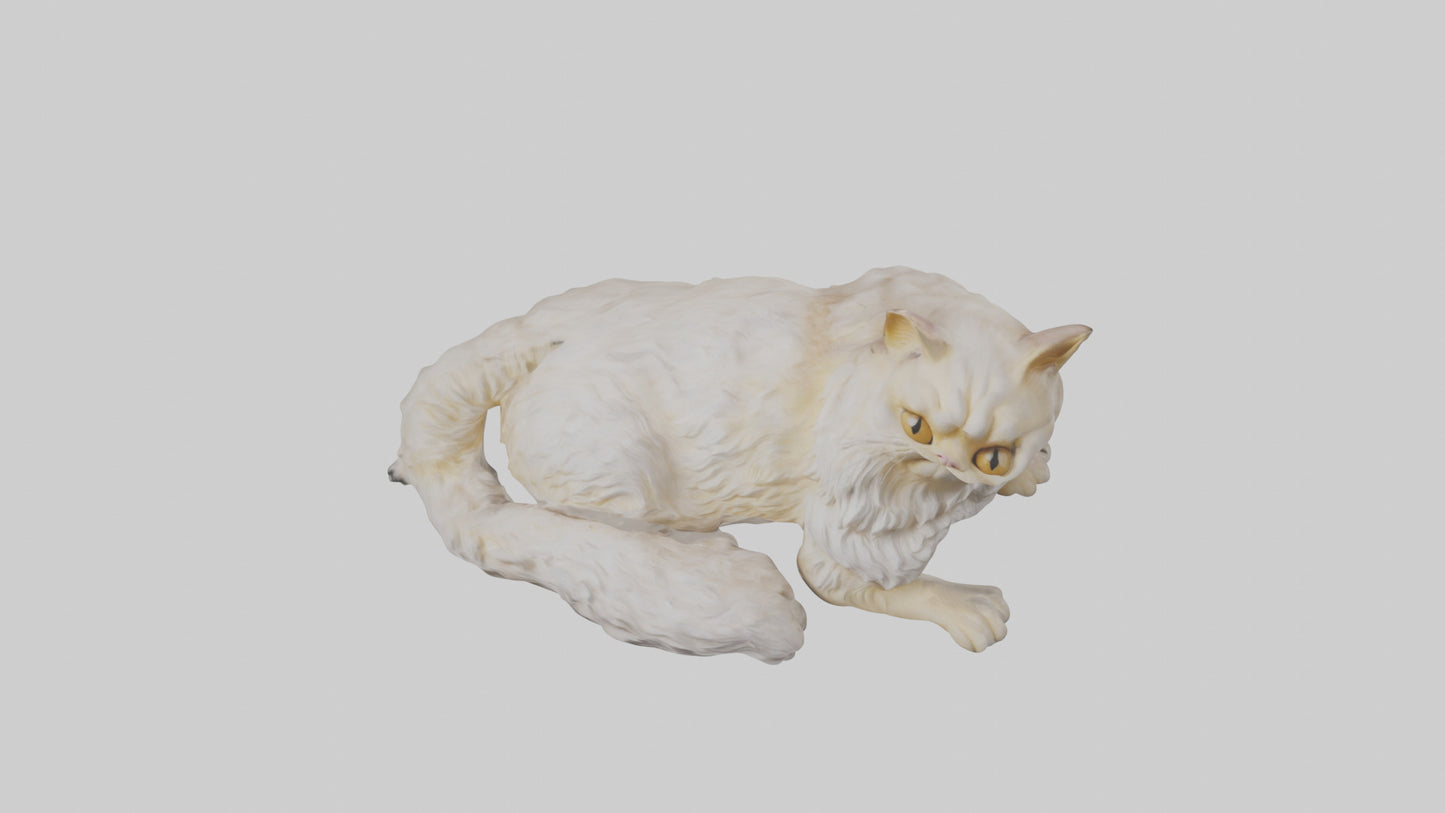 Persian Cat resting model VR / AR / low-poly