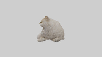 Persian Cat resting model VR / AR / low-poly