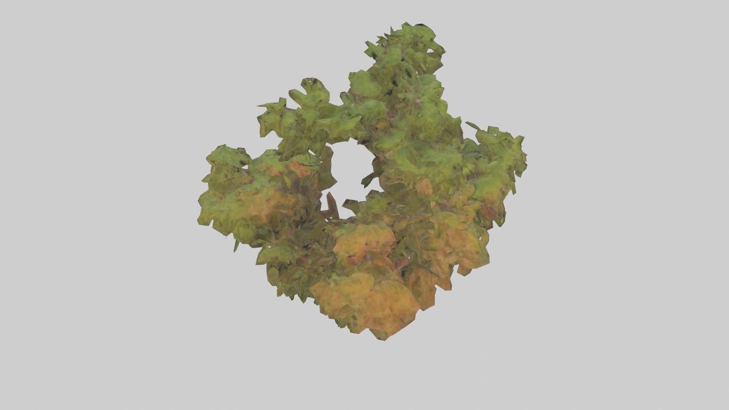 3D model Peruvian Pepper tree model VR / AR / low-poly