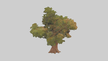 3D model Peruvian Pepper tree model VR / AR / low-poly