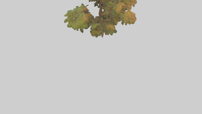 3D model Peruvian Pepper tree model VR / AR / low-poly