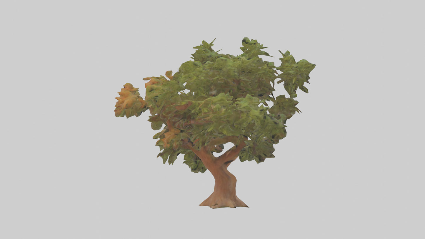 3D model Peruvian Pepper tree model VR / AR / low-poly