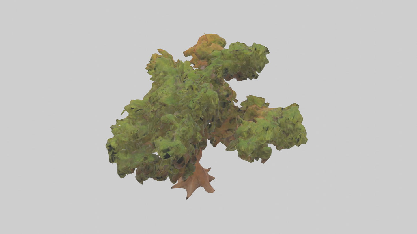 3D model Peruvian Pepper tree model VR / AR / low-poly