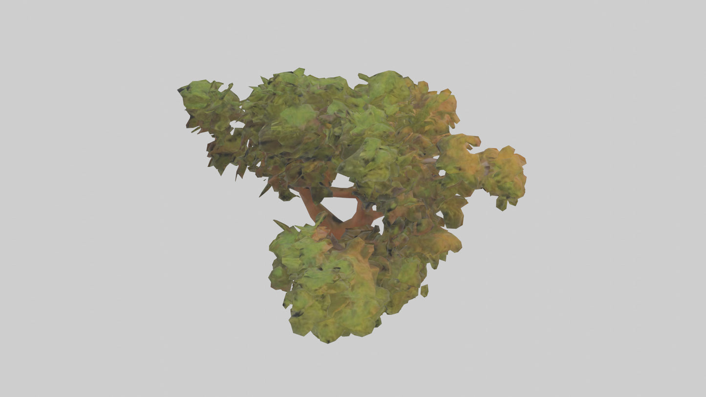 3D model Peruvian Pepper tree model VR / AR / low-poly