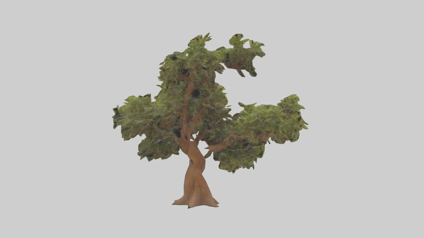 3D model Peruvian Pepper tree model VR / AR / low-poly