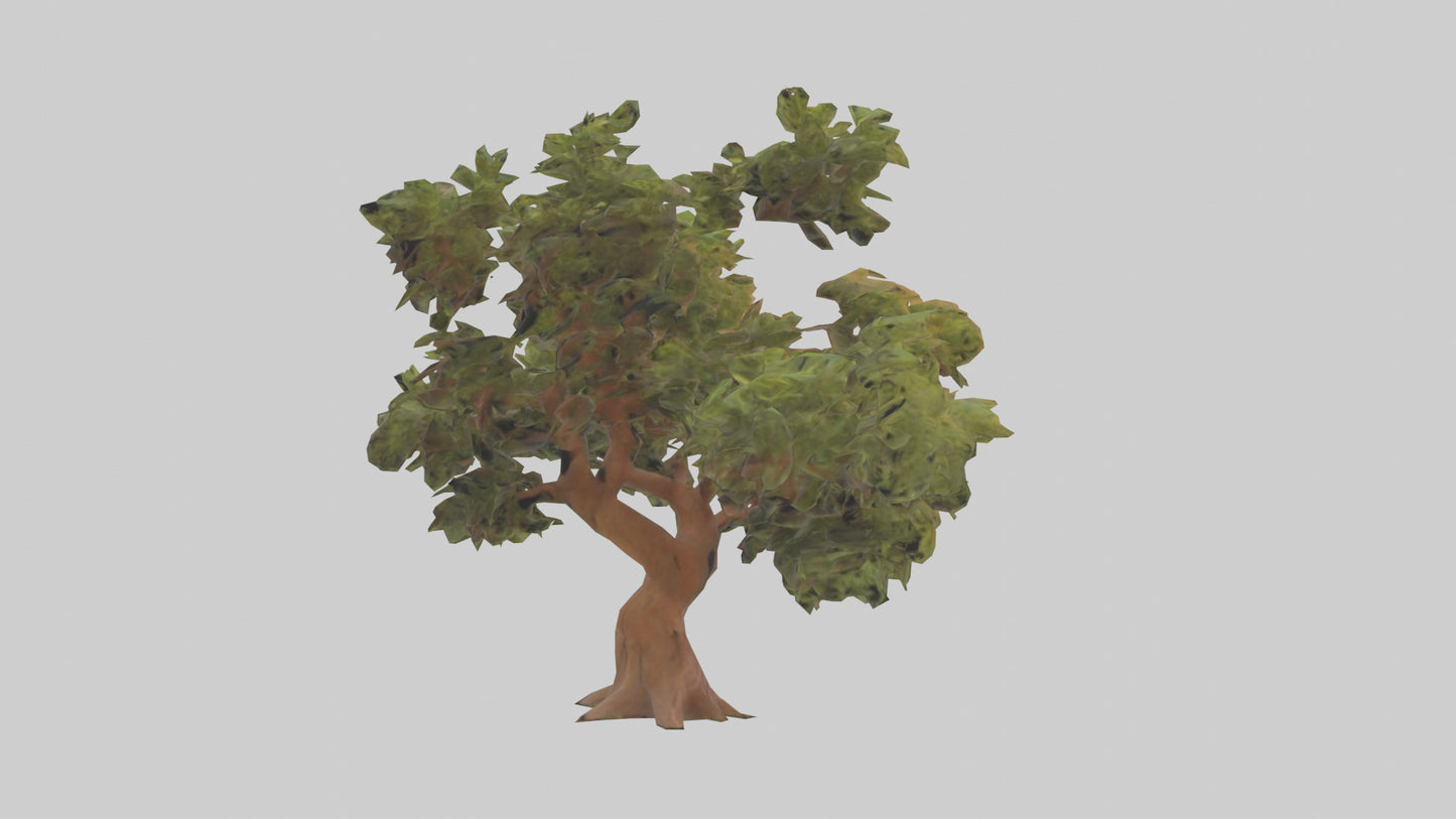 3D model Peruvian Pepper tree model VR / AR / low-poly