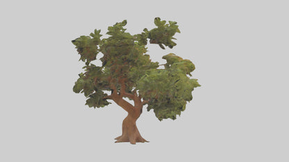 3D model Peruvian Pepper tree model VR / AR / low-poly