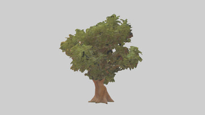 3D model Peruvian Pepper tree model VR / AR / low-poly