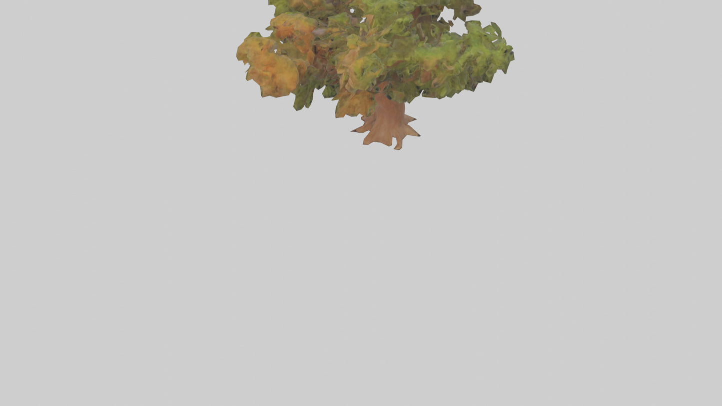 3D model Peruvian Pepper tree model VR / AR / low-poly