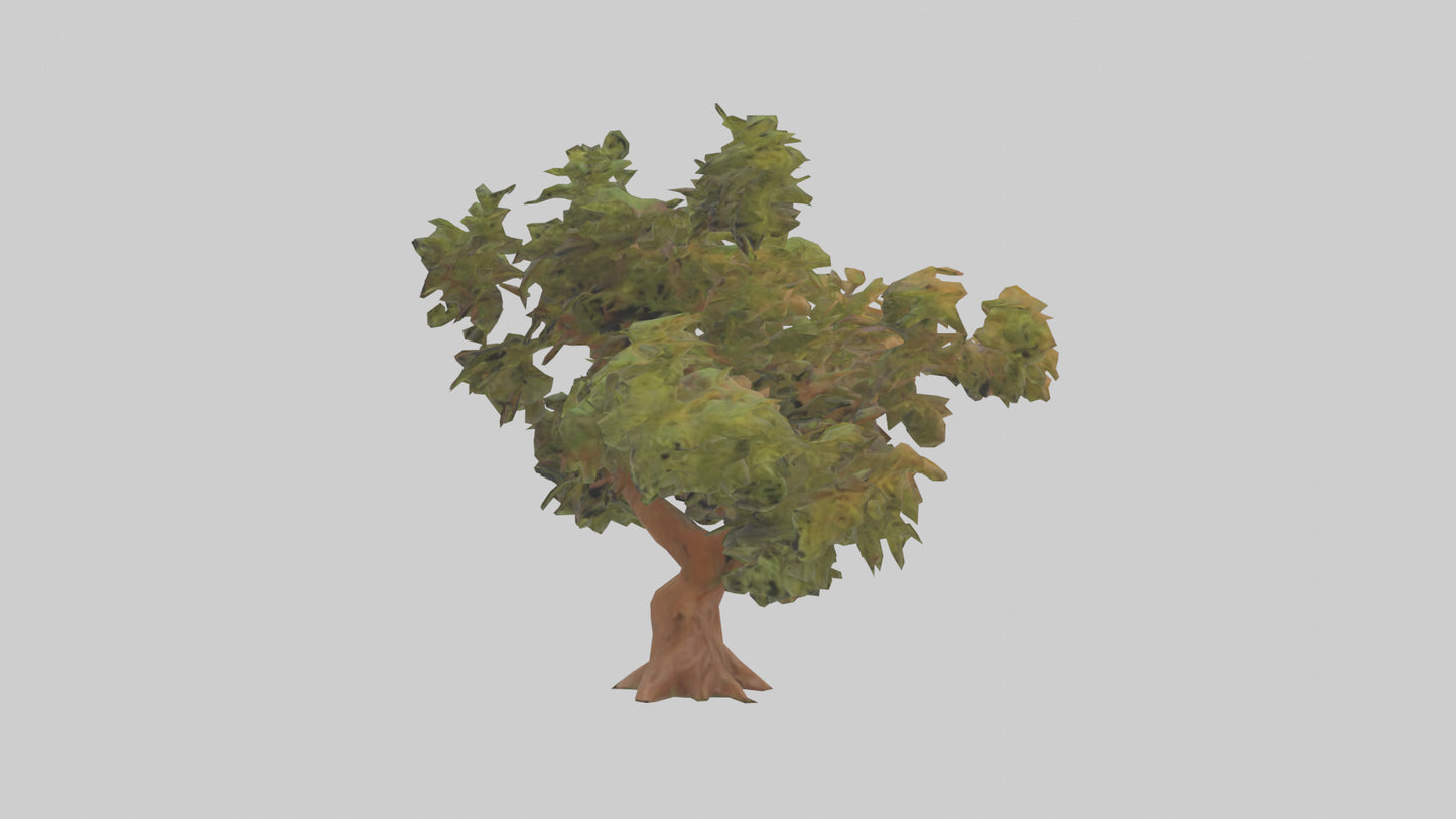 3D model Peruvian Pepper tree model VR / AR / low-poly