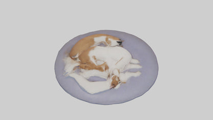 3D model Pet Room VR / AR / low-poly