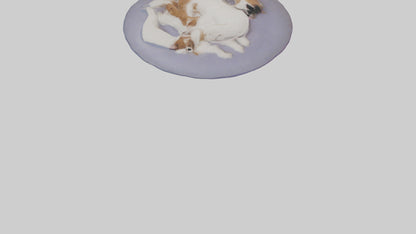 3D model Pet Room VR / AR / low-poly