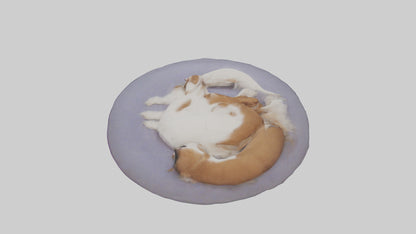 3D model Pet Room VR / AR / low-poly