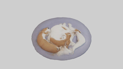 3D model Pet Room VR / AR / low-poly