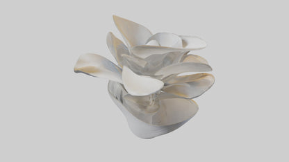 3D model Petal Form Abstract statue model VR / AR / low-poly