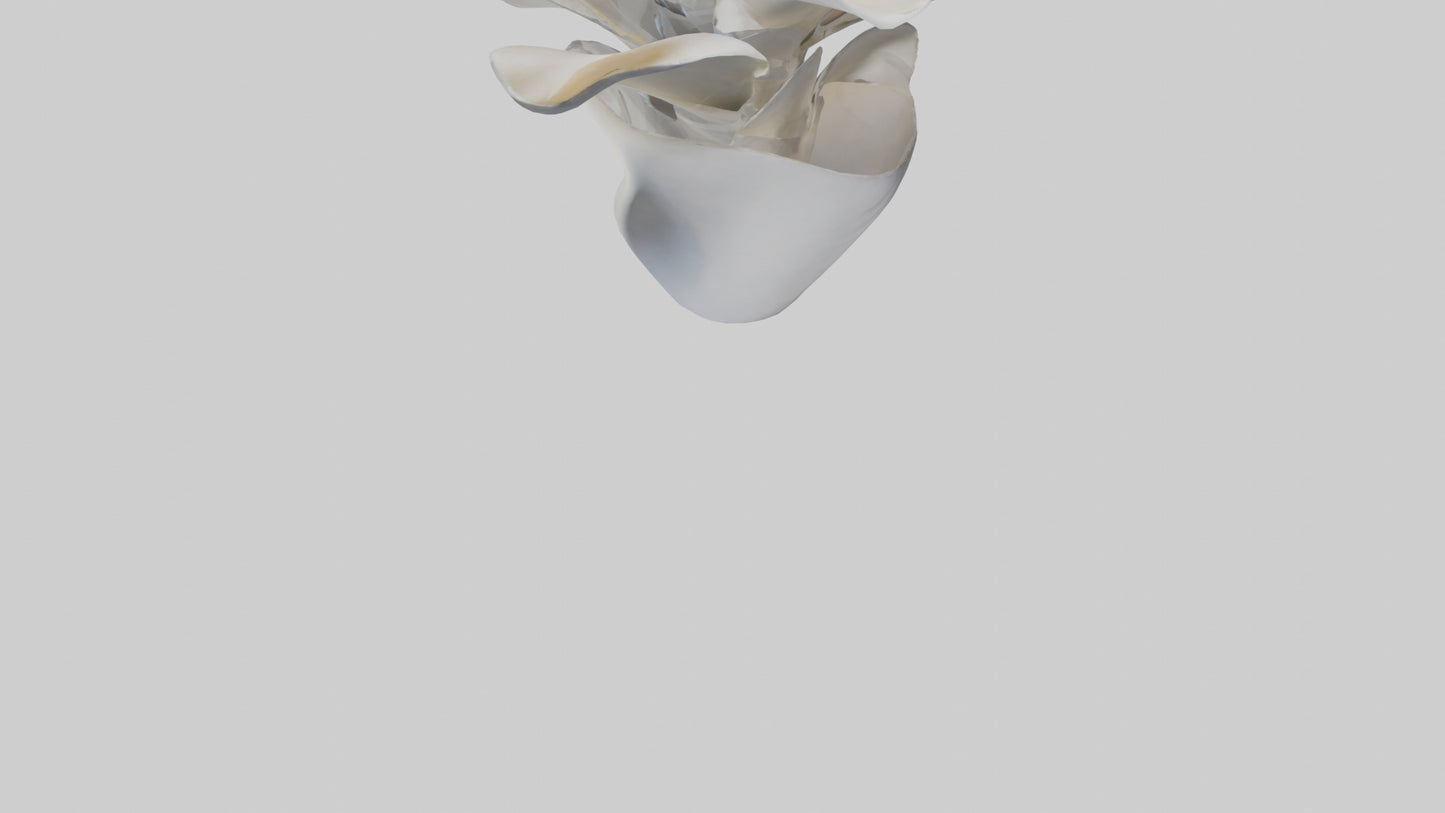 3D model Petal Form Abstract statue model VR / AR / low-poly
