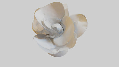 3D model Petal Form Abstract statue model VR / AR / low-poly