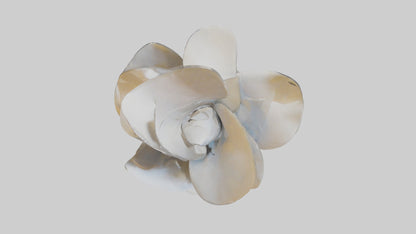 3D model Petal Form Abstract statue model VR / AR / low-poly
