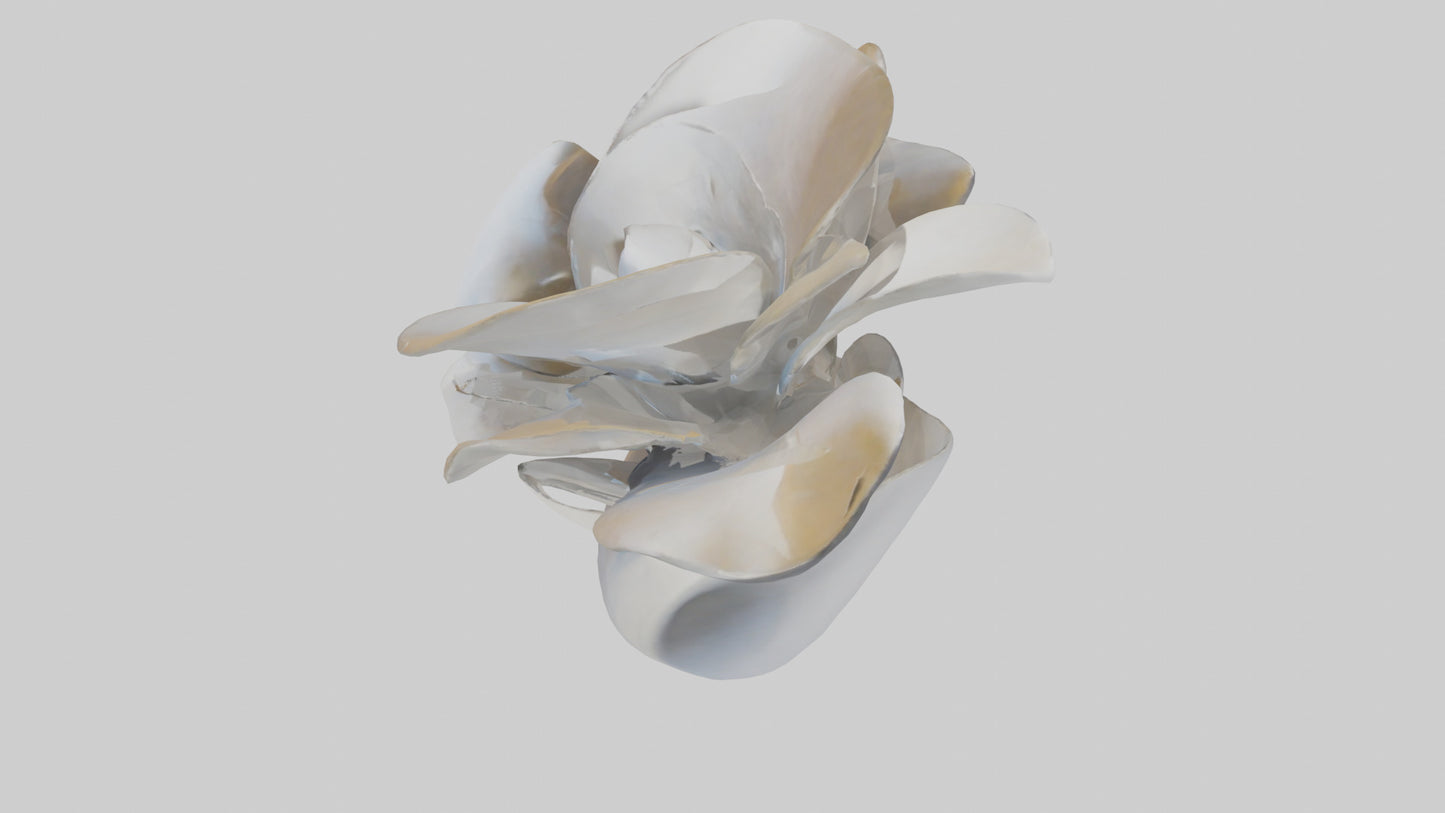 3D model Petal Form Abstract statue model VR / AR / low-poly