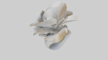 3D model Petal Form Abstract statue model VR / AR / low-poly