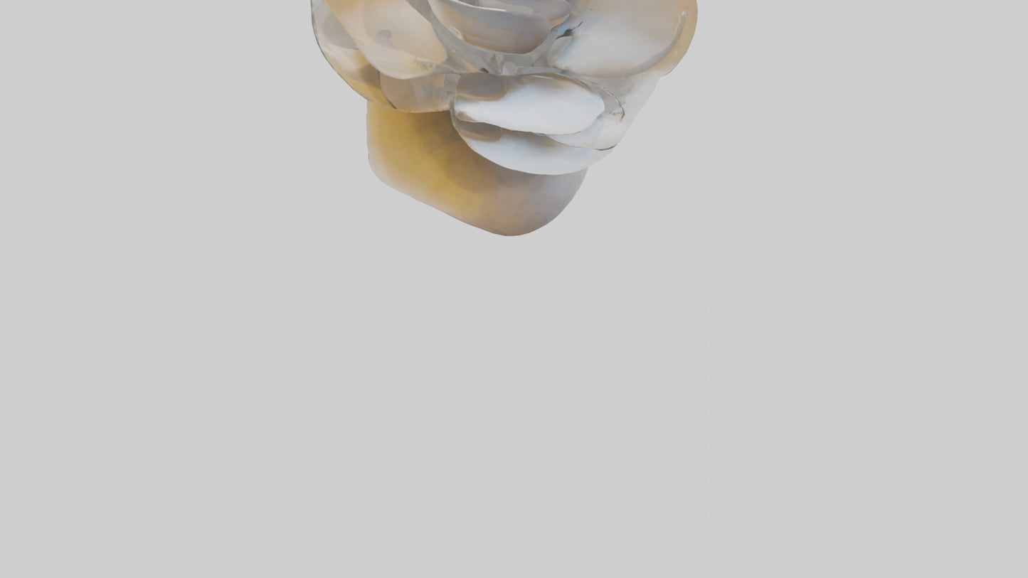 3D model Petal Form Abstract statue model VR / AR / low-poly