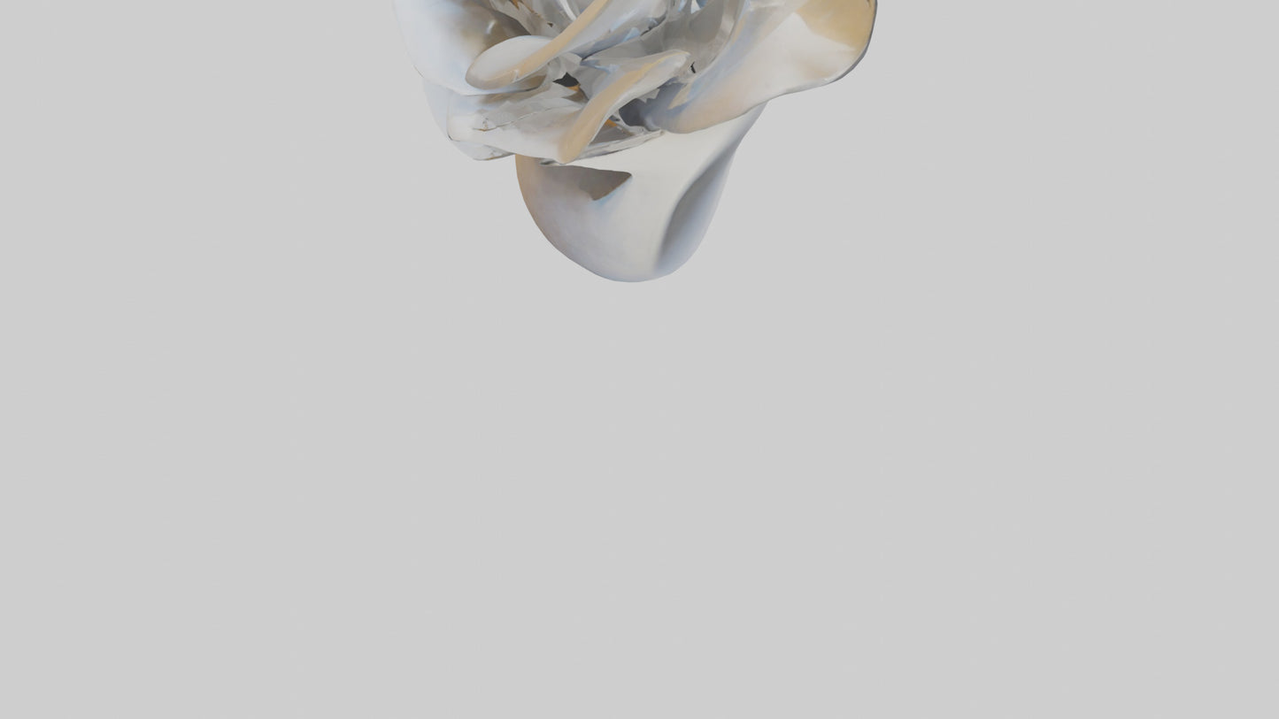 3D model Petal Form Abstract statue model VR / AR / low-poly