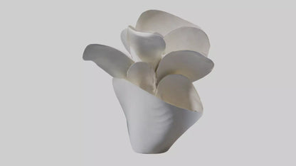 3D model Petal Form Abstract statue model VR / AR / low-poly