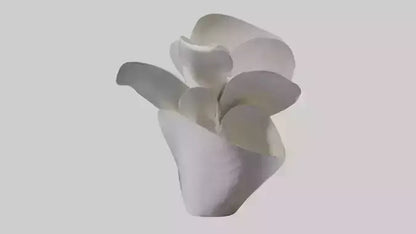 3D model Petal Form Abstract statue model VR / AR / low-poly