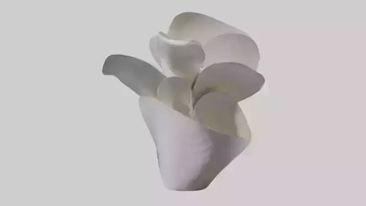 3D model Petal Form Abstract statue model VR / AR / low-poly
