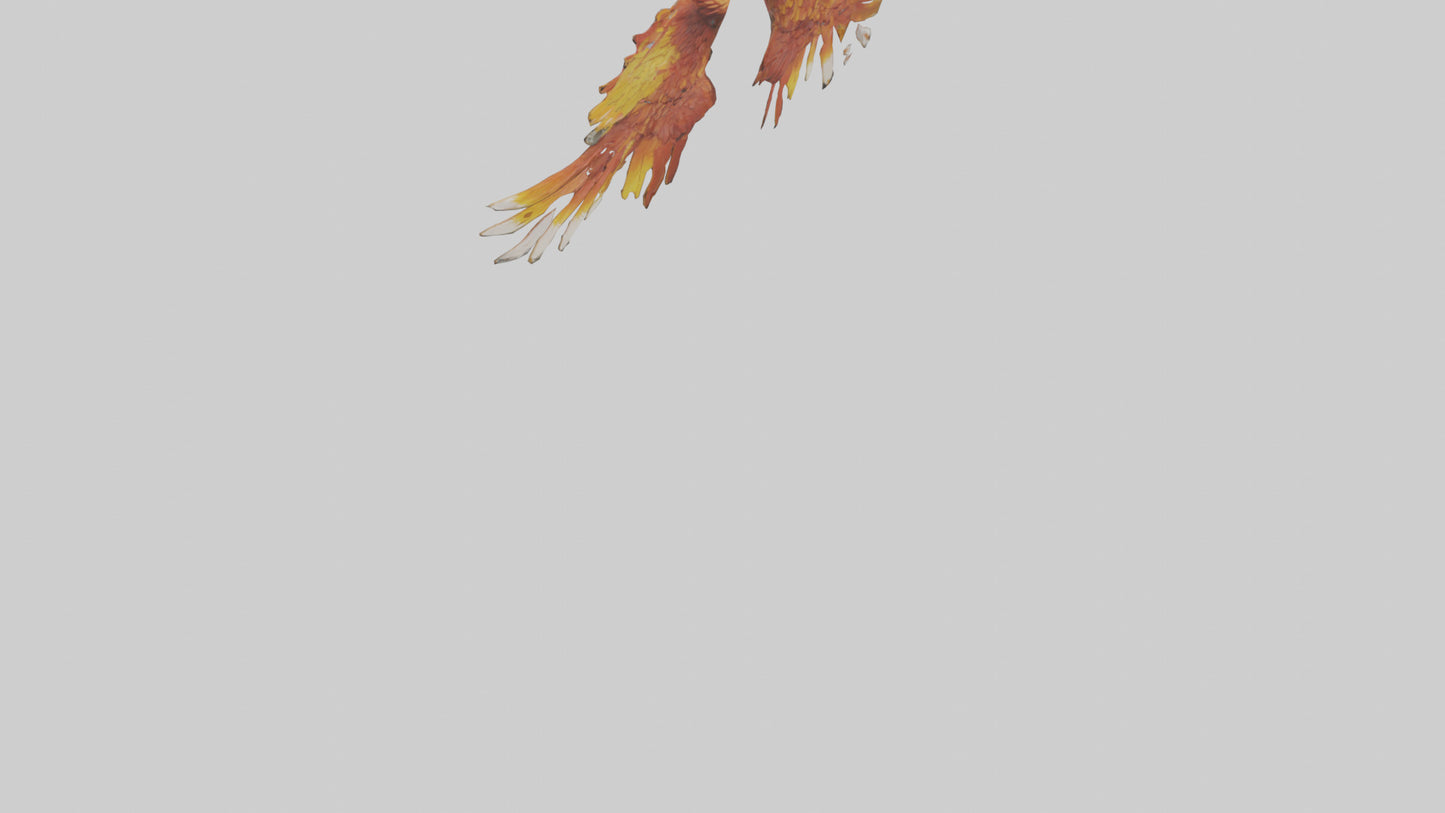 Phoenix Wings model VR / AR / low-poly