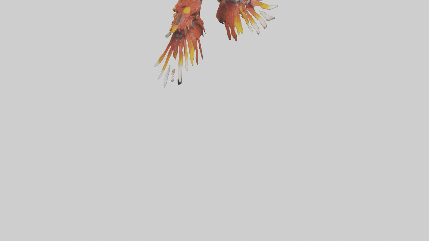 Phoenix Wings model VR / AR / low-poly